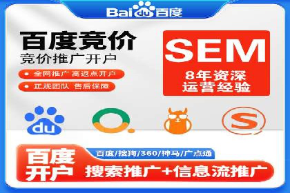 谷歌SEM案例研究：数据分析与效果评估